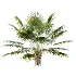 AV Plant Bismarckia Nobilisi Palm Tree 01 - Thumbnail 1