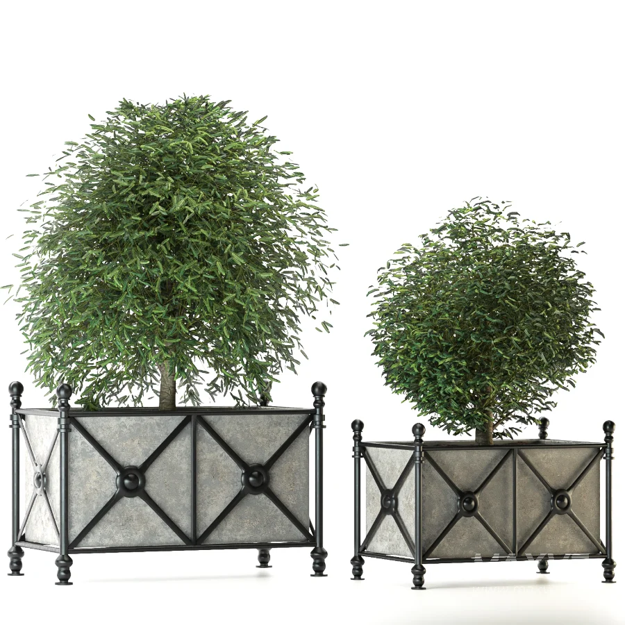 Outdoor Plant 03 – Decorative Planter Trees - Image 1