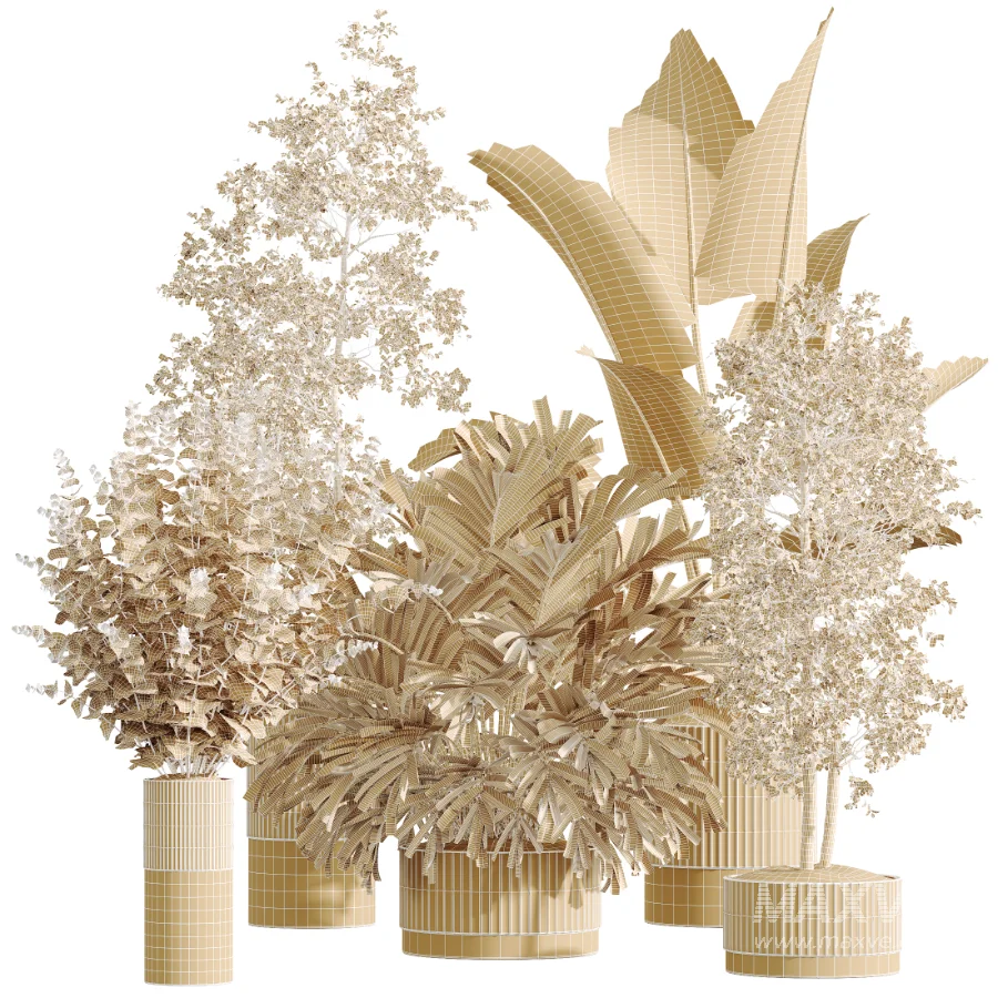 AV Indoor Plants Set 618 Chemlali Olive Areca Palm Eucalyptus Bouquet Bird Of Paradise - Image 6