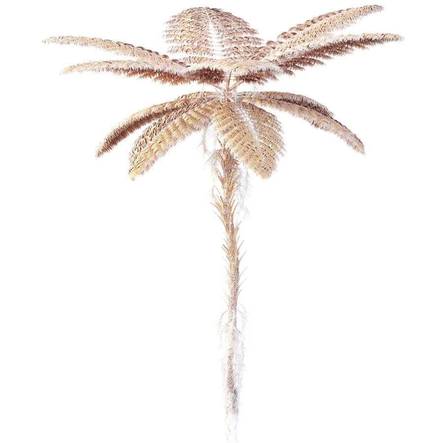 AV Plant Alsophila Spinulosa Fern Tree 01 - Image 8