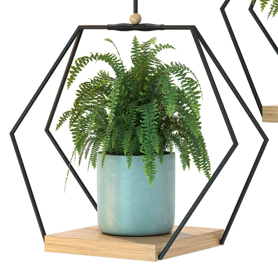 Hanging Plant 06 - Image 5