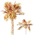 AV Plant Bismarckia Nobilisi Palm Tree 01 - Thumbnail 10
