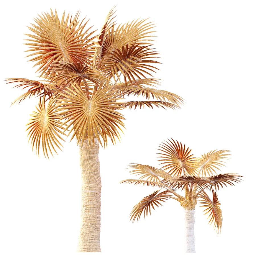 AV Plant Bismarckia Nobilisi Palm Tree 01 - Image 10