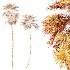 AV Plant Saribus Rotundifolius Palm Tree 01 - Thumbnail 7