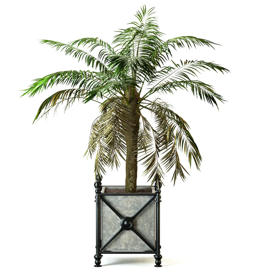 Outdoor Plant 04 – Palm Tree Planter - Image 3