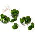 Emerald Pear Collection - Thumbnail 2