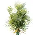 AV Plant Chrysalidocarpus Lutescens Palm Bush 02 - Thumbnail 2