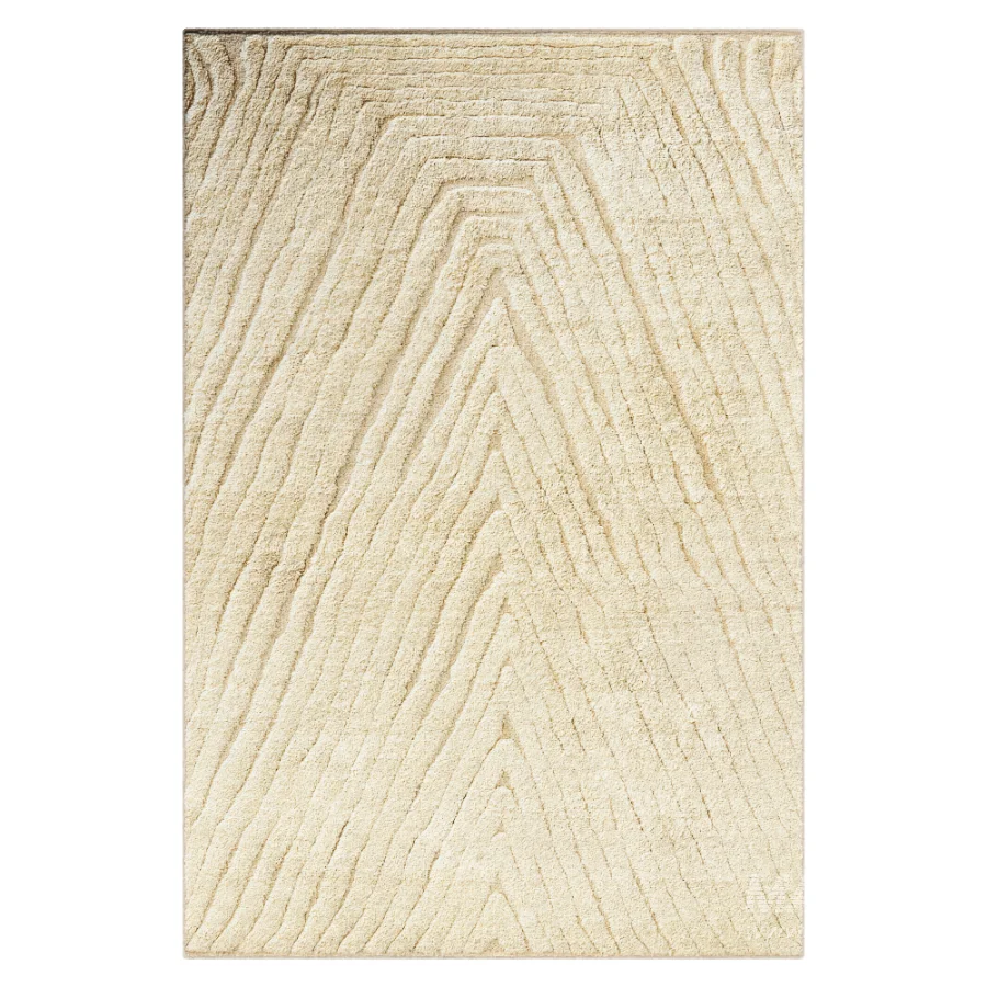 Carpet - Image 4
