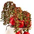 Pomegranate Cascade Fruit & Floral Arrangement - Thumbnail 3