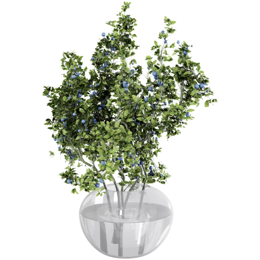 blueberry bouquet in vase - Image 2