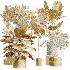 AV Indoor Plants Set 619 Elegant Monstera and Ficus Microcarpa Bonsai and Ficus Cyathistipula and Cat Reed Palm - Thumbnail 10
