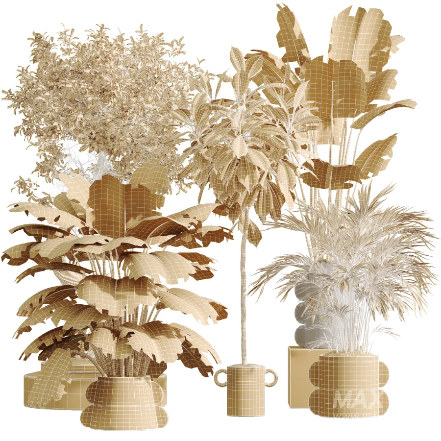 AV Indoor Plants Set 619 Elegant Monstera and Ficus Microcarpa Bonsai and Ficus Cyathistipula and Cat Reed Palm - Image 10
