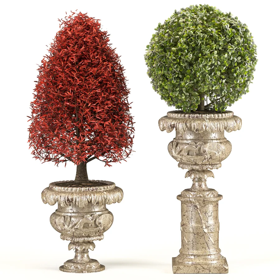 Outdoor Plant 06 – Neoclassical Style - Image 4