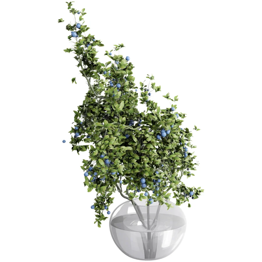 blueberry bouquet in vase - Image 1