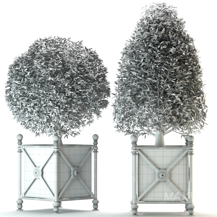 Outdoor Plant 05 - Image 3
