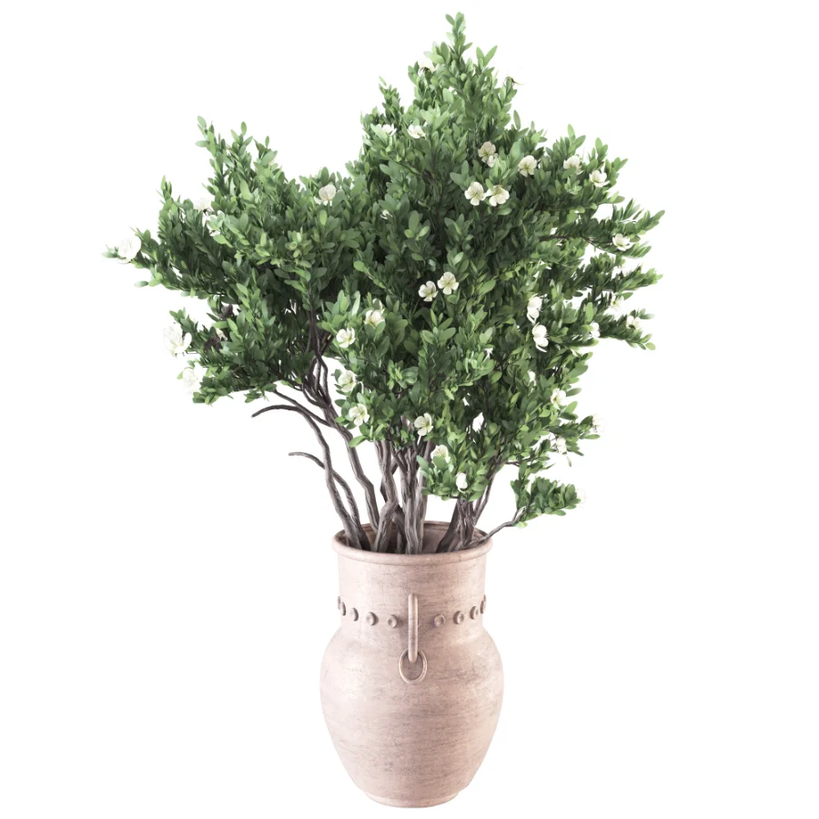 Whisper Bloom Myrtle 060 - Image 3
