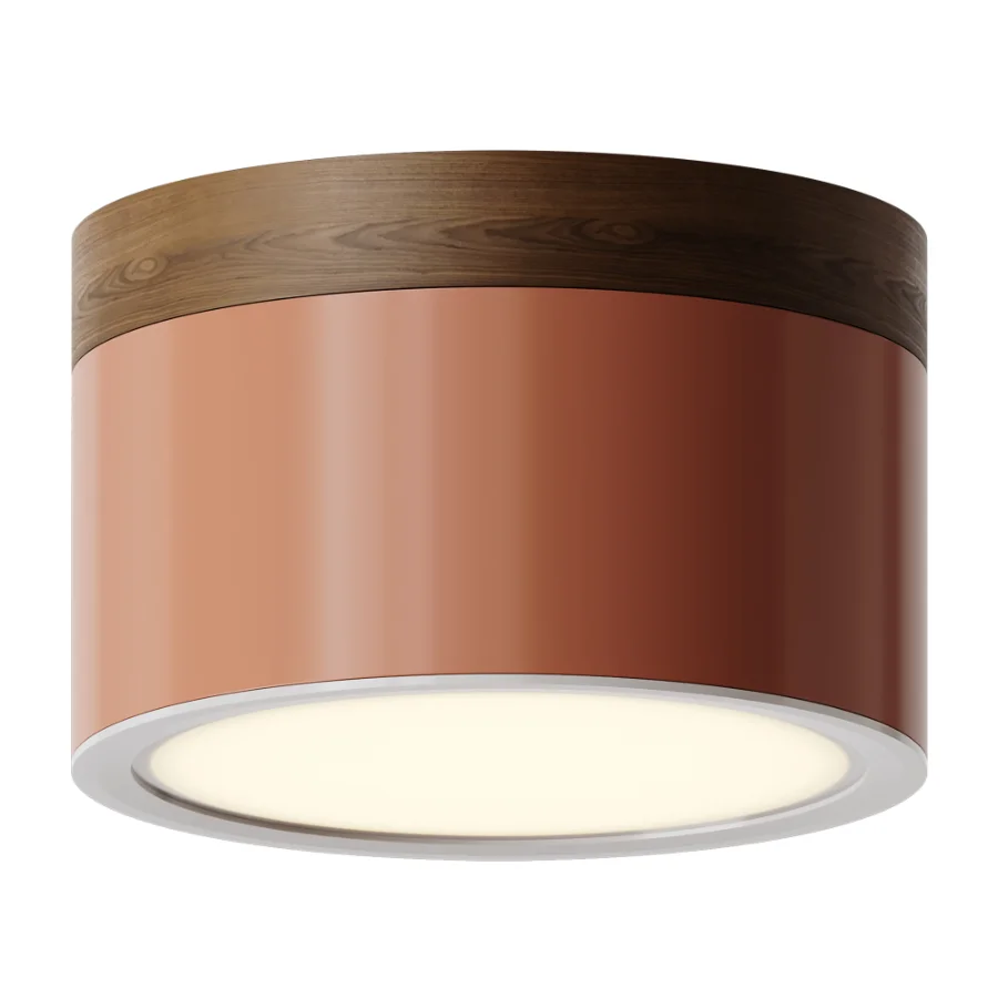 Surface mounted spotlight Model RD-0206 - Image 3