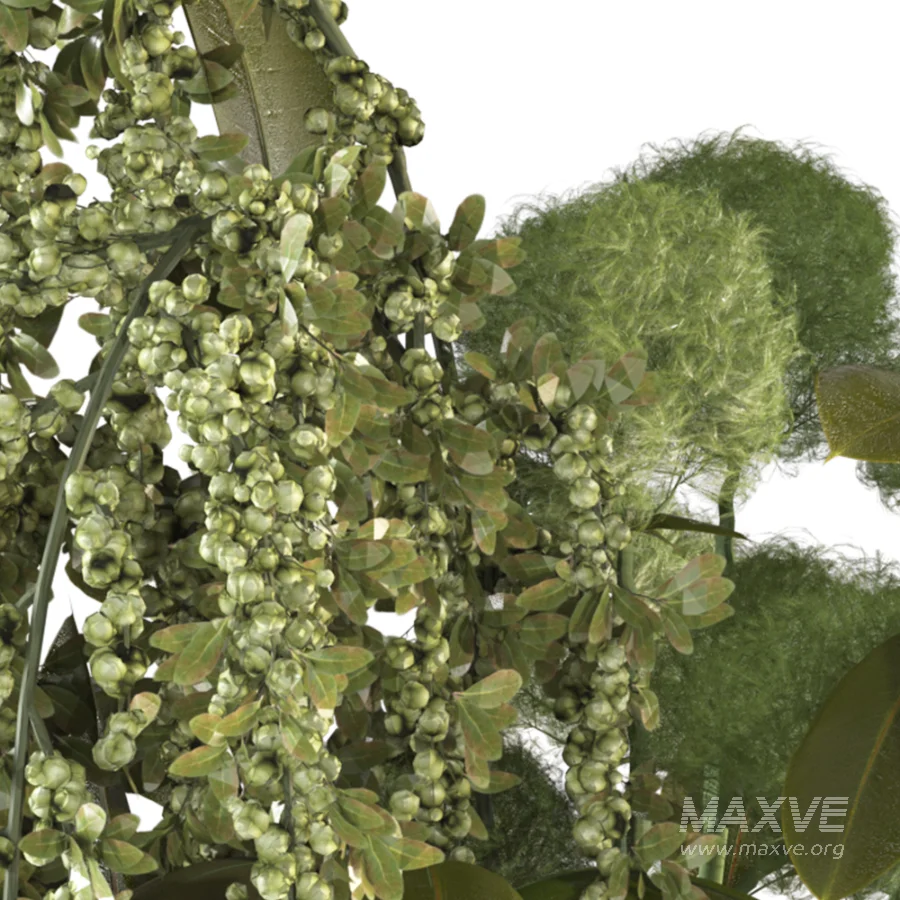 Verdant Cascade Arrangement 058 - Image 4