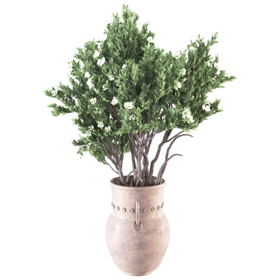 Whisper Bloom Myrtle 060 - Image 2