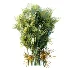 AV Plant Chrysalidocarpus Lutescens Palm Bush 01 - Thumbnail 4