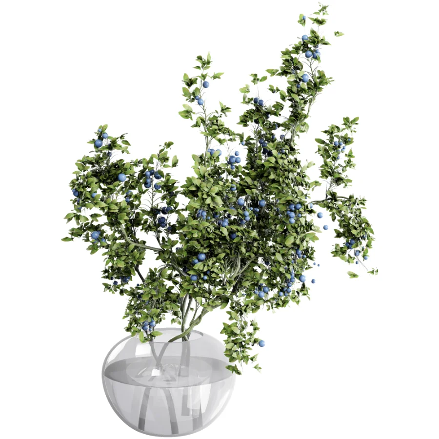 blueberry bouquet in vase - Image 3