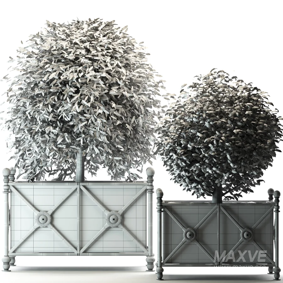 Outdoor Plant 03 – Decorative Planter Trees - Image 3