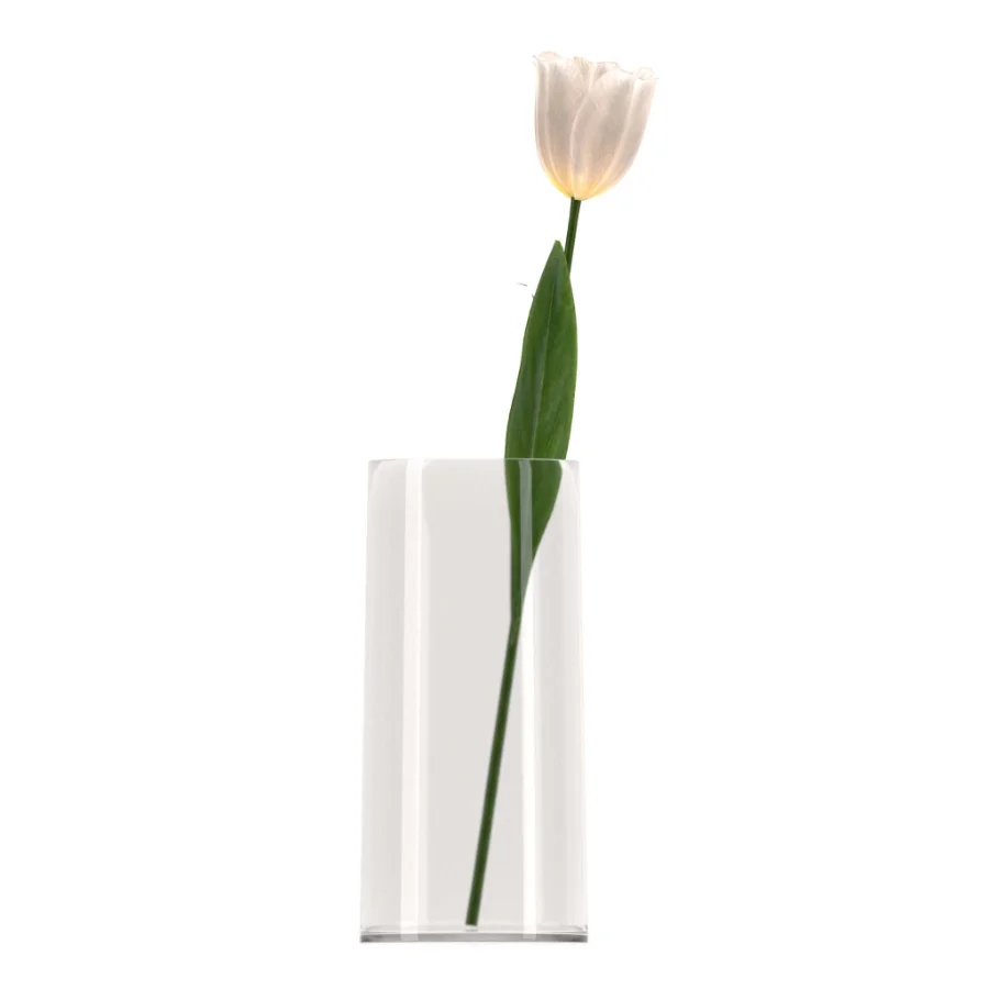 Bouquet of tulips in a glass vase-set001 - Image 1