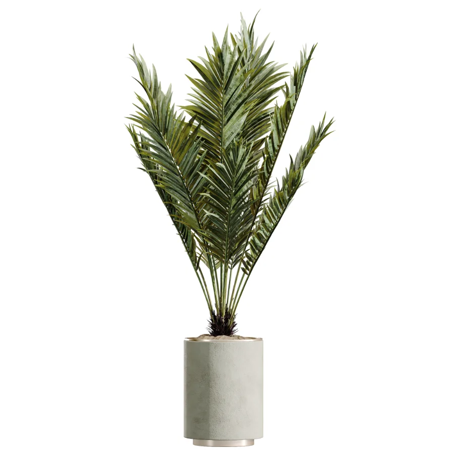 AV Indoor Plants Set 604 Banana Cyara Areca Palm Ficus microcarpa Olive - Image 2