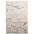 Carpet 3 - Thumbnail 2