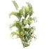 AV Plant Chrysalidocarpus Lutescens Palm Bush 01 - Thumbnail 2