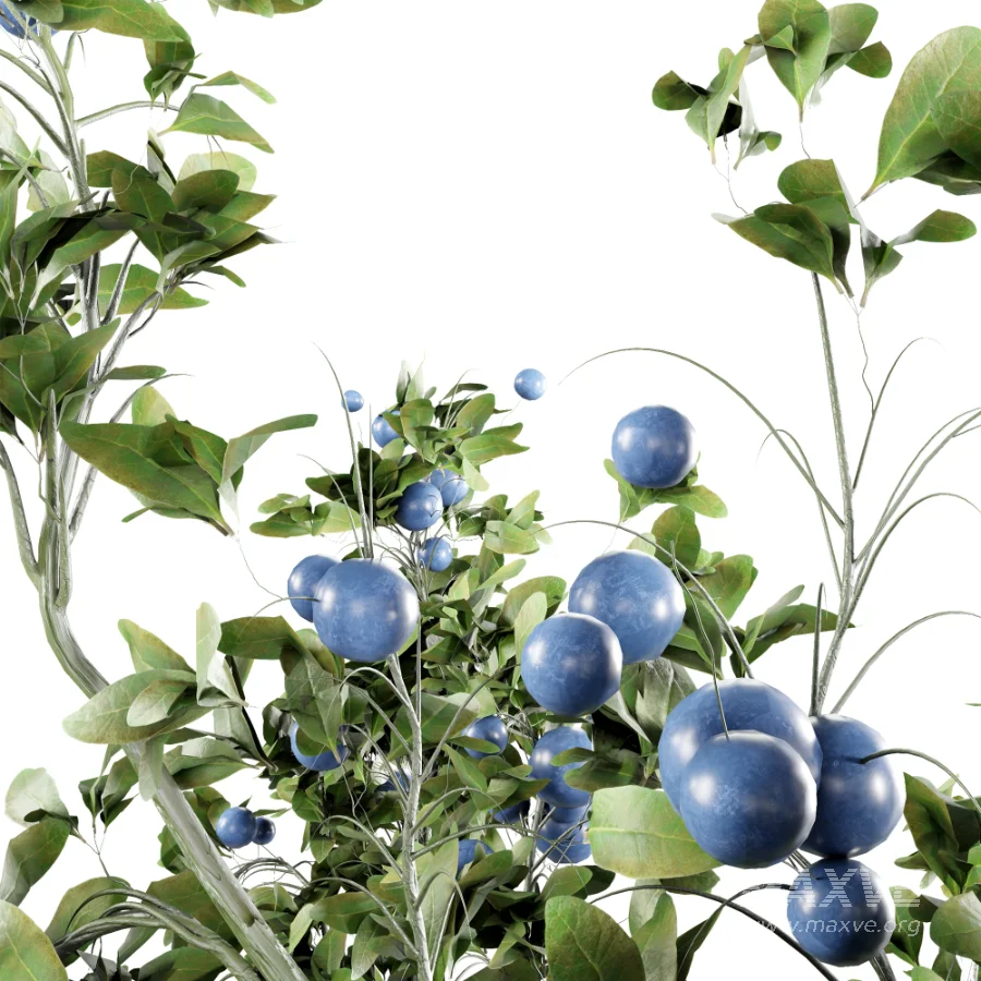 blueberry bouquet in vase - Image 4