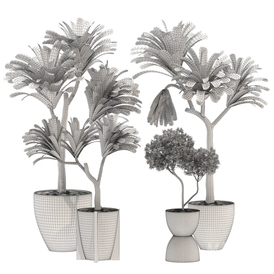 Indoor Plants Set 029-Yucca Elephantipes - Image 4