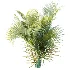 AV Plant Chrysalidocarpus Lutescens Palm Bush 02 - Thumbnail 1