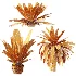AV Plant Neottopteris Nidus 6 Palm Bush 01 - Thumbnail 10