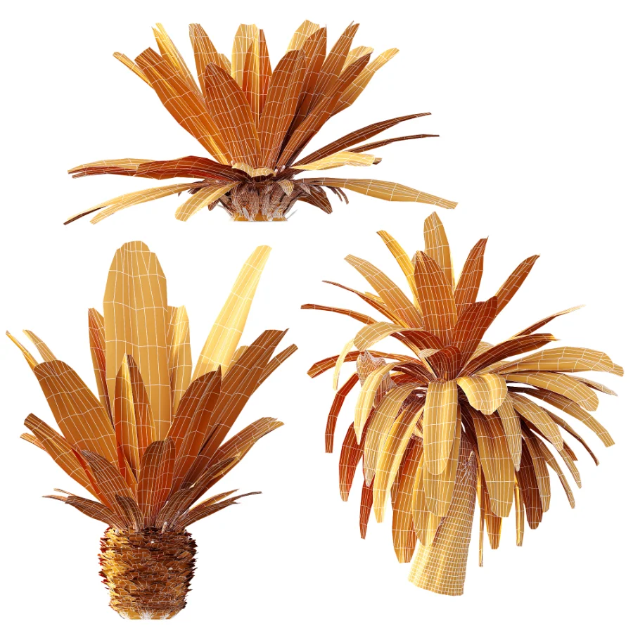AV Plant Neottopteris Nidus 6 Palm Bush 01 - Image 10