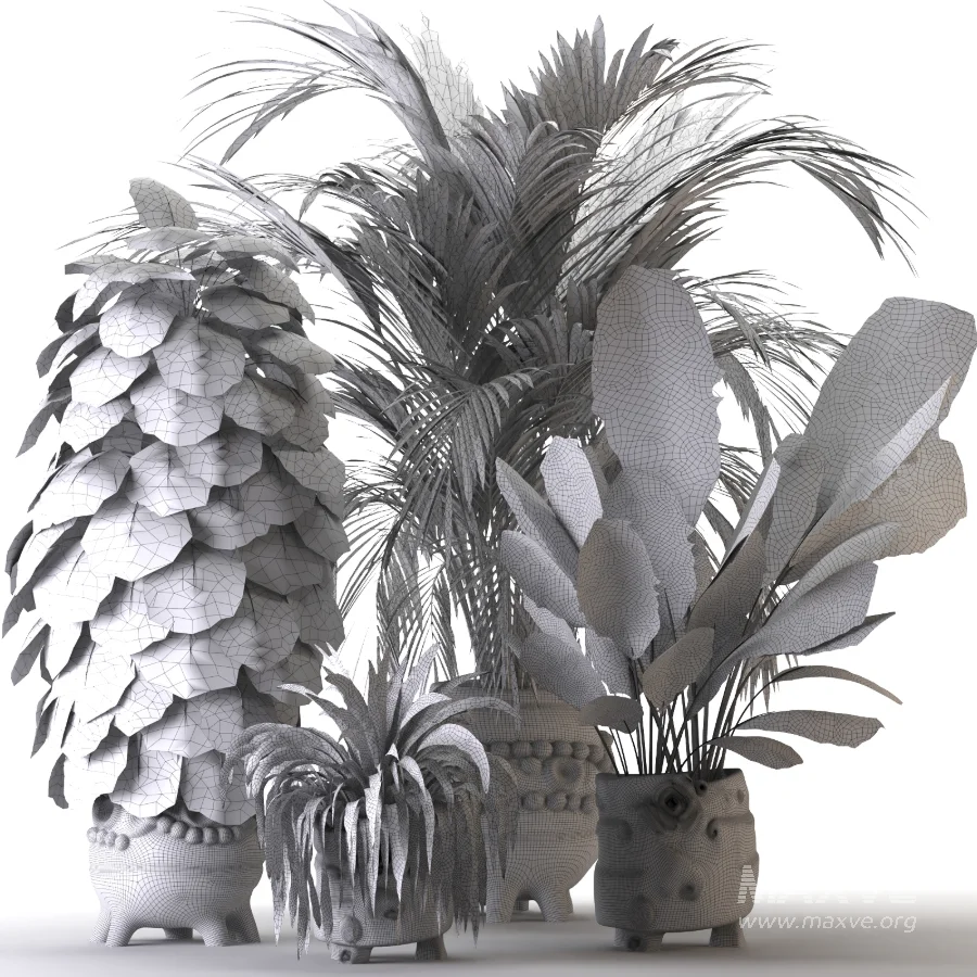 Plant Set 14 - Image 3