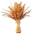 AV Plant Phoenix Canariensis Palm Tree 03 - Thumbnail 8