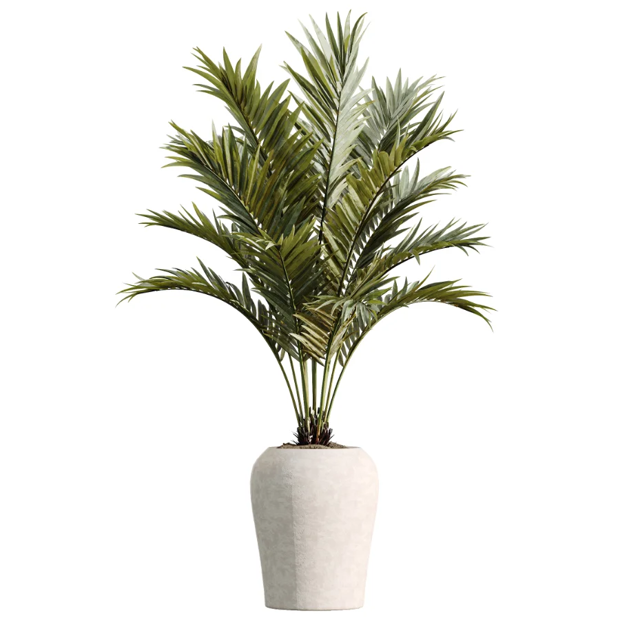 AV Indoor Plants Set 518 Banana Lemon Dragon Areca Palm Schefflera Ficus Bonsai - Image 2
