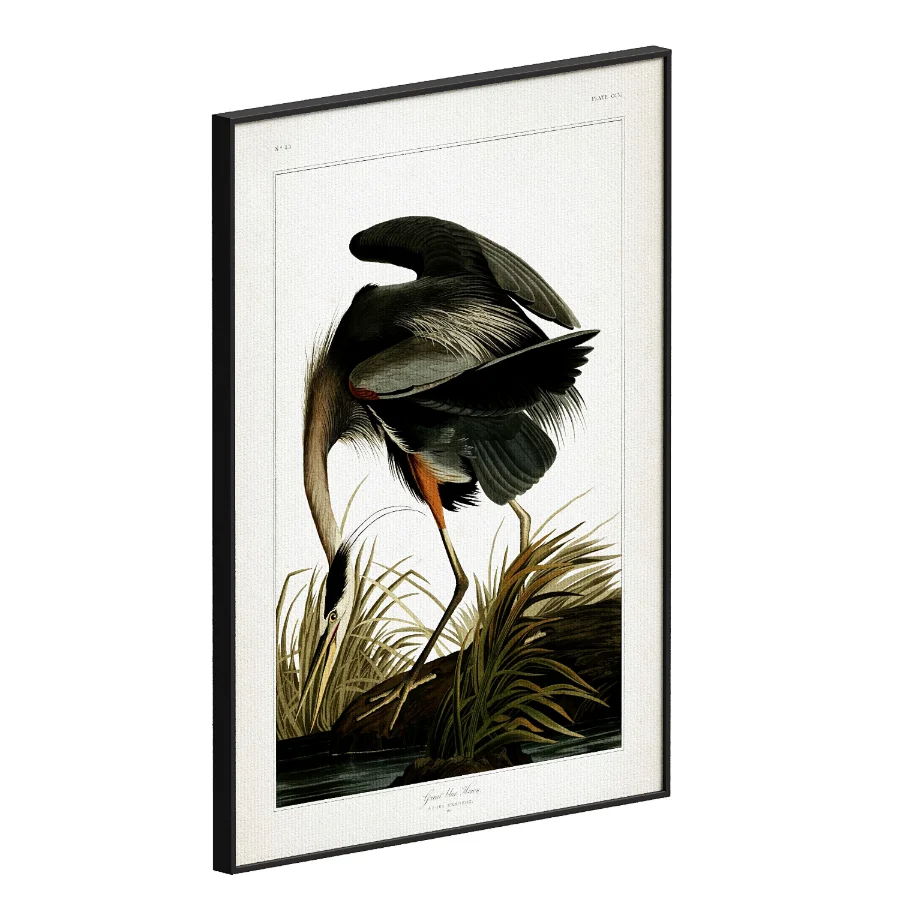 Great Blue Heron Print - Image 1