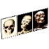 Human Skull set - Thumbnail 3