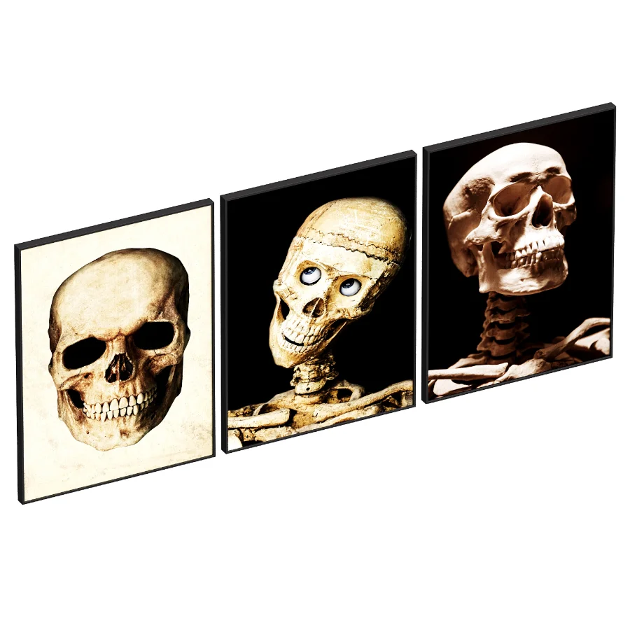 Human Skull set - Image 3