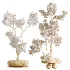 AV Indoor Plants Set 535 Bonsai Pinus Pentaphylla Thunbergii - Thumbnail 11