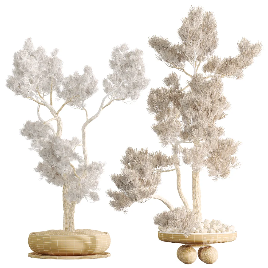 AV Indoor Plants Set 535 Bonsai Pinus Pentaphylla Thunbergii - Image 11