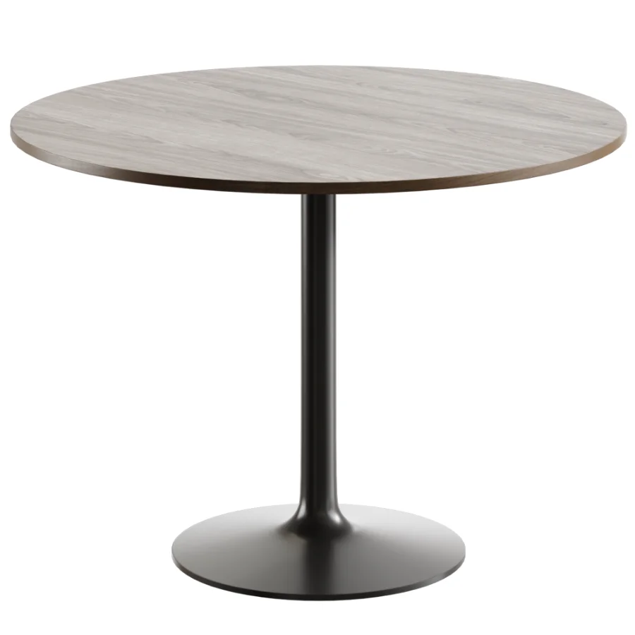 Chair Torvall and Menorca Table - Image 3