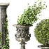 Outdoor Plant 09 - Thumbnail 4