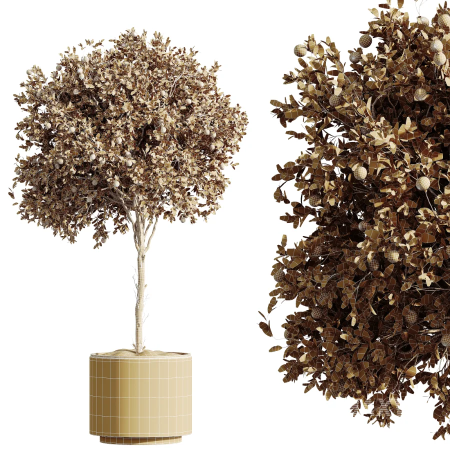AV Indoor Plants Set 512 Olive Orange Tree Banana Cactus Echinocactus Yucca - Image 9