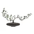 bouquet of plant decor-set001 - Thumbnail 3