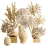 AV Indoor Plants Set 515 Dracaena Warneckii Banana Ficus Microcarpa Bonsai Lemon Tree - Thumbnail 8