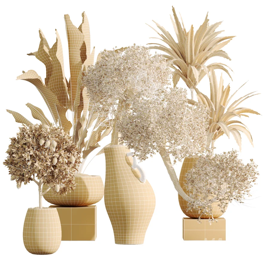 AV Indoor Plants Set 515 Dracaena Warneckii Banana Ficus Microcarpa Bonsai Lemon Tree - Image 8