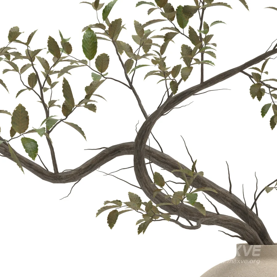 bouquet of plant decor-set002 - Image 1